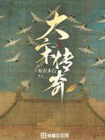 大宋传奇之赵匡胤高清