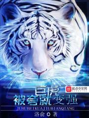 巨虎科技有限公司
