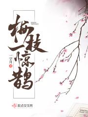 一枝梅什么意思