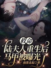 陆夫人又上热搜了全文免费阅读