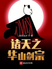 华山剑宗和气宗