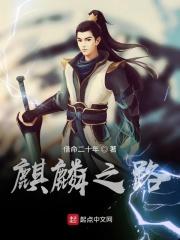 麒麟之翼简介