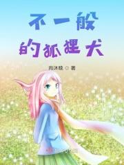 狐狸犬种类都有哪些