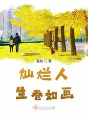 灿烂人生含义