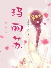 穿书玛丽苏的