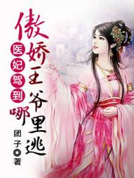 傲娇王爷俏医妃全文免费