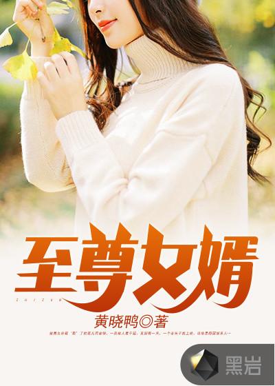 网络至尊女婿