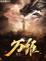 万维书刊点评