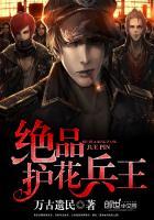 绝品护花兵王阅读