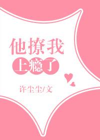 沈清澜贺景承全文免费阅读
