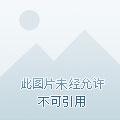 多元宇宙的实力