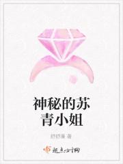 主人公叫苏青的