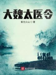 大魏宫廷全文免费阅读