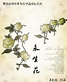 永生花谢爱意凋零