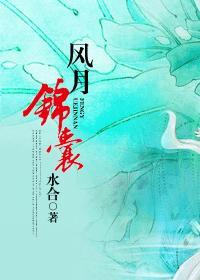 风月锦囊番外结局是什么