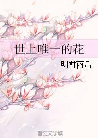 世界上唯一的花歌曲