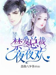 禁爱总裁晚上好完整版