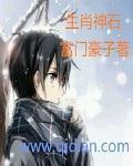 什么是生肖神数