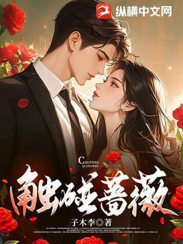 触碰蔷薇一共多少章节完结