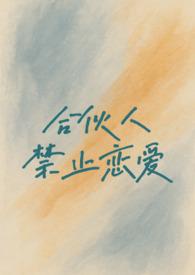 合伙人制度txt