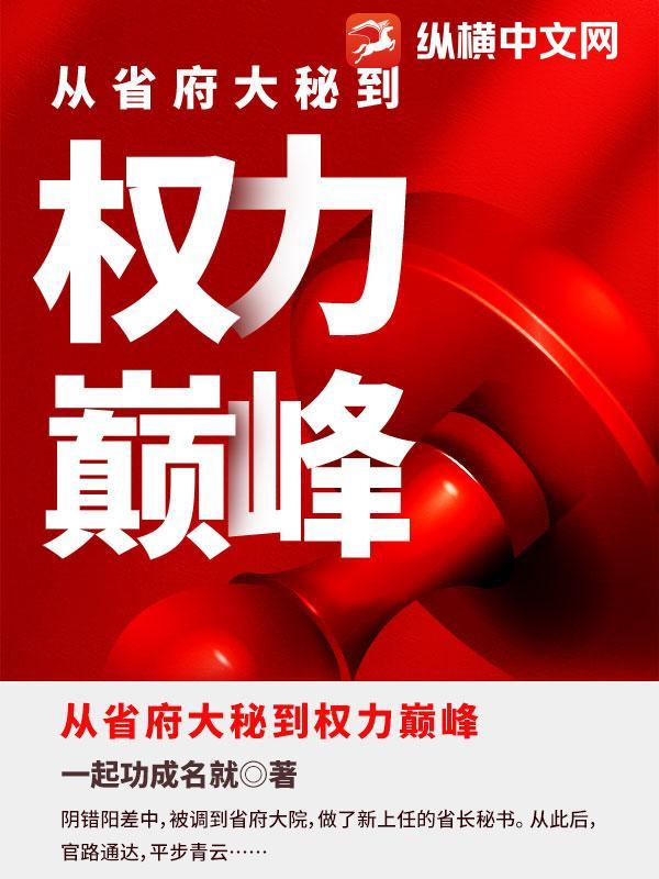 从省府大秘到权力巅峰txt