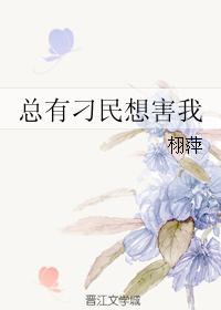 总有刁民想害朕什么电影