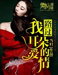 路过我耳朵的忧伤伴奏