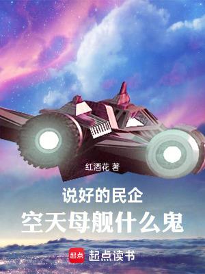 空天母舰什么鬼电子书