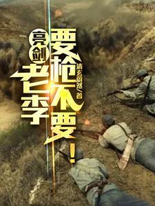 新版亮剑老李