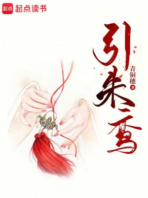 引朱鸾by全文无弹窗笔趣阁