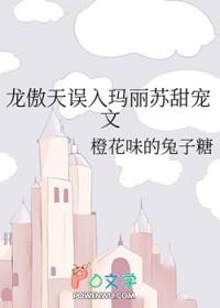 当龙傲天遇上玛丽苏无妄之川