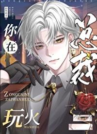 总裁你在玩火免费阅读
