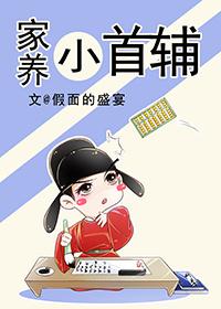 家养小首辅晋江文学城