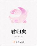 君归矣李岩身世解析