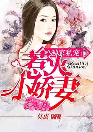 独家宠爱小逃妻全文免费阅读