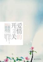 爱情的开关百科