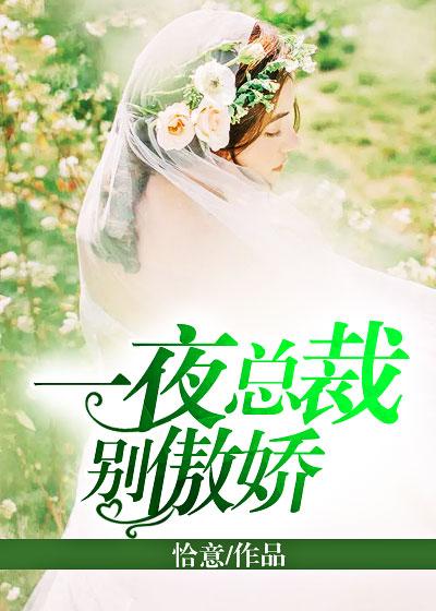 一夜错惹·总裁