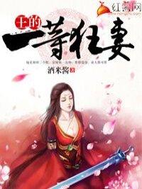 一等狂妻野妃戏冷王