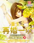 重生之再婚宠文