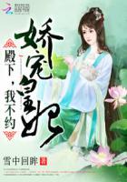 娇宠皇妃殿下我错了未删减