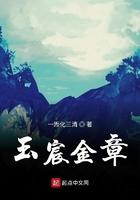 玉宸金章123读书网