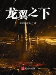龙之翼java游戏