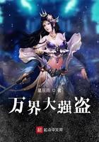 万界大强盗顶点