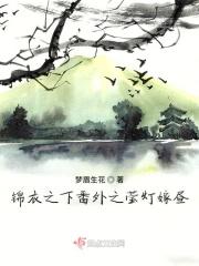 锦衣之下婚后续集