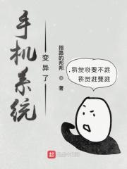 怎么解决?