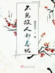 不见故人不见君出自哪里