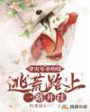 穿越之灾荒年代